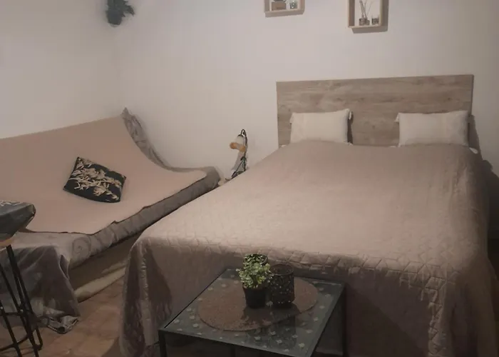 Studio Cosy Proche Centre Mpl/ Pk Gratuit