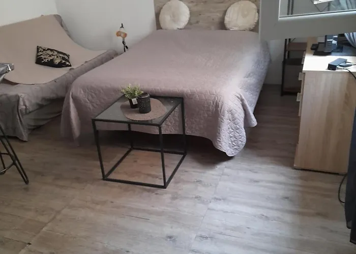 Studio Cosy Proche Centre Mpl/ Pk Gratuit